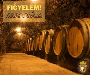Index kép: Figyelem, mustgáz! című hírhez